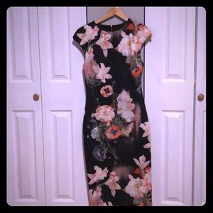 📢‼️Ted Baker Dress NWOT‼️